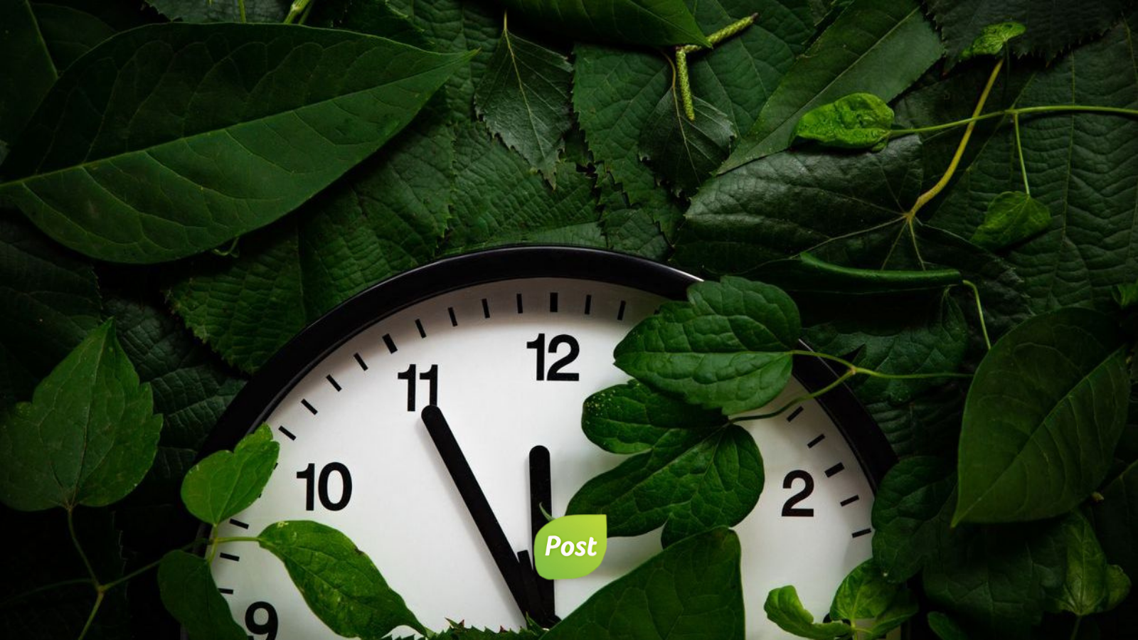 Como apoyar tus ritmos circadianos de forma natural